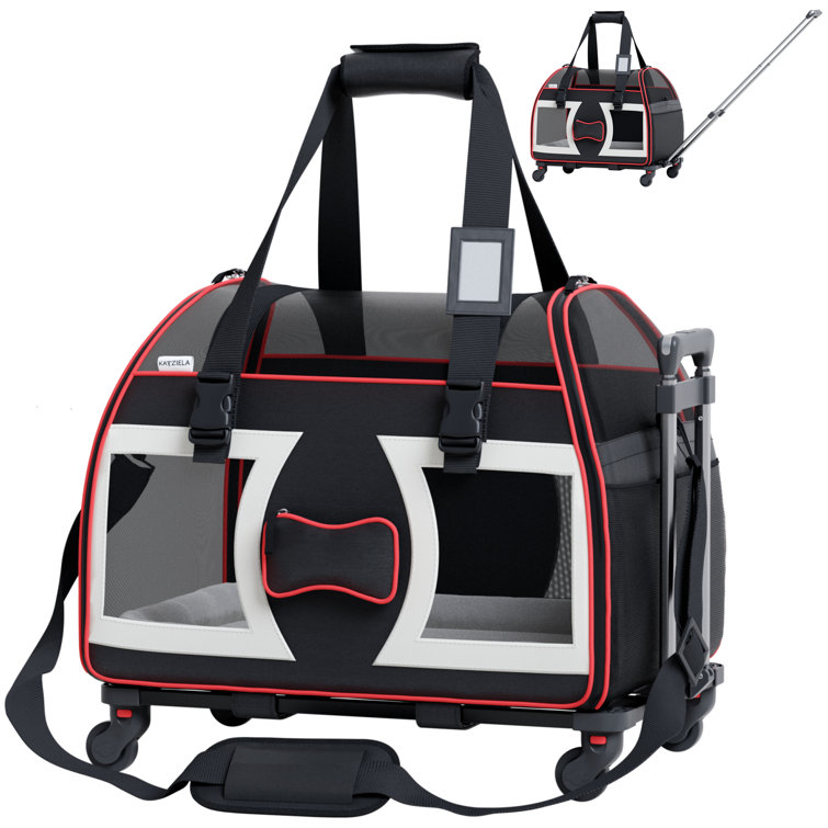 Coach 2024 dog carrier